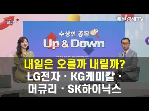 수상한 종목 UP DOWN 내일은 오를까 내릴까 LG전자 KG케미칼 머큐리 SK하이닉스 이권희 하이투자증권 부장 