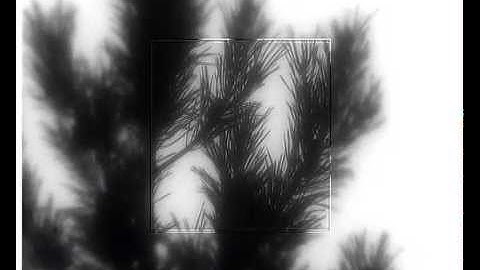 Visibility through the turbulent atmosphere