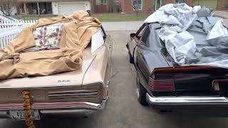 1966 GTO and 1977 Pontiac CanAm