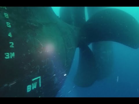 Video: Peeling For The Underwater Ship