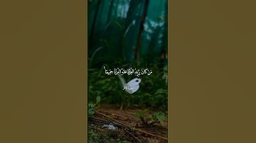 تلاوة خاشعة - سورة فاطر