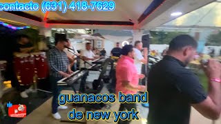 🎻mix de guanacos band🎻de new york