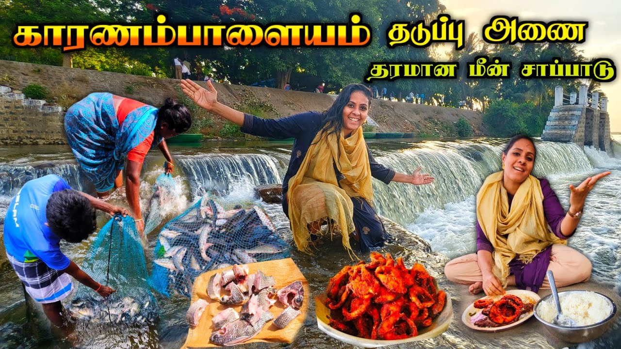 💯💥காரணம்பாளையம் சொர்க்க பூமியில், காவேரி ஆற்றங்கரையில் பொறிச்ச மீன் சாப்பாடு😋🔥| Media பட்டதாரி #fish