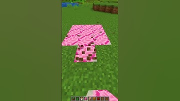 How To Spawn Ballerina Cappuccina in Minecraft! 😱🤫 #minecraft #minecraftshorts