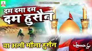 दम दमा दम दम हुसैन या अली मौला हुसैन - Haleem Taj - Dam Dama Dam Hussain - Ya Hussain Ya Ali Hussain