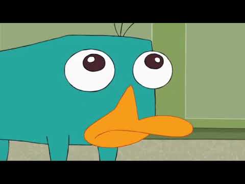 FBI breaks into Phineas and Ferb's house | Funny Cartoon Moment |