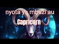 Nyota Ya Mbuzi Au Capricorn