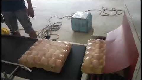 egg tray shrink packaging machine