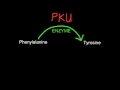 A.1.5 Explain the causes and consequences of phenylketonuria (PKU)