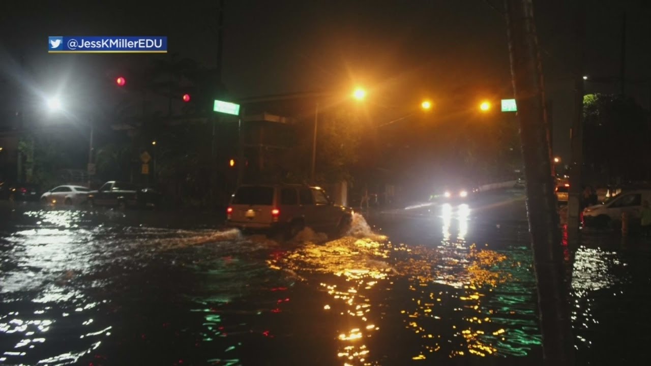 Flooding Frustrations All Across South Florida As Week Of Rain Won't ...