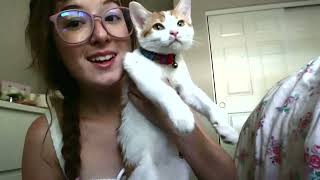 Asmr Brown Freckles - Skirt Tights Scratching Resubido