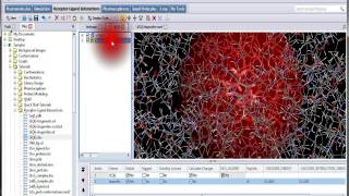 Discovery Studio Program medicinal chemistry 1-MIU- screenshot 1