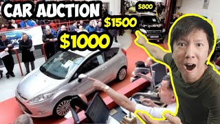 What is Car Auction like in Texas