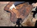 Claro Walnut Burl Cutting by OregonBurls.com Claro Walnut Burl Cutting by OregonBurls.com