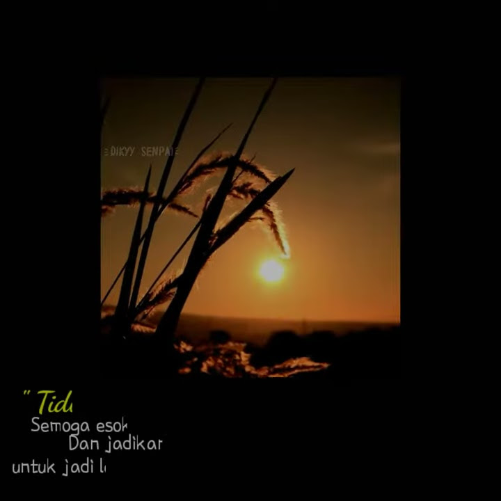Story wa lagu sholawat sa'dun fiddunya   quotes