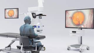 METIS HU: Positioning – Optimize your 3D viewing experience