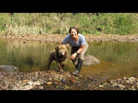 Video: Poop Sniffing Rescue Pups stanno salvando animali in via di estinzione