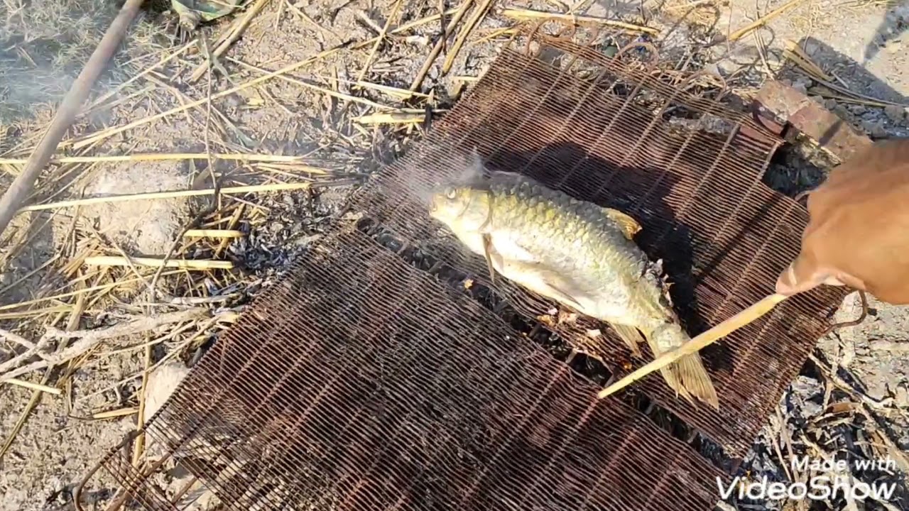 وقت الغداء في الهور