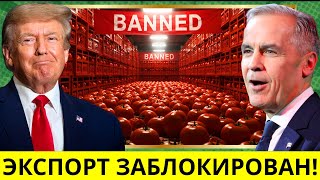 видео: США ТЕРЯЮТ РЫНОК ТОМАТОВ после запрета Канады и миллиардной сделки Мексики! Насколько далёким будет. картинка: США ТЕРЯЮТ РЫНОК ТОМАТОВ после запрета Канады и миллиардной сделки Мексики! Насколько далёким будет.