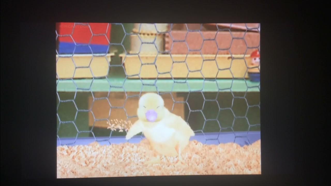 The Phone The Phone Is Ringing Wonder Pets Wonder pets the phone is ringing song - YouTube