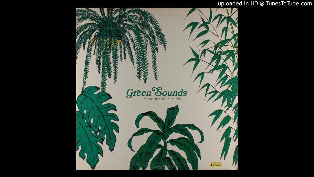 Unknown Artist - Social Climbing Ivy (US, 1974) breaks challenge