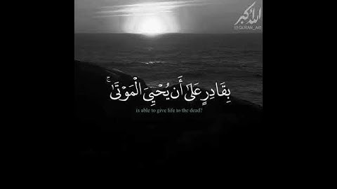 الشيخ ياسر الدوسري / سورة الاحقاف