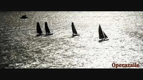 Vaughan Williams: A Sea Symphony [Haitink] Felicit...