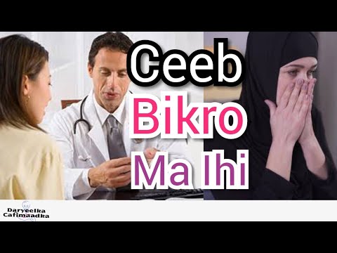 Daawo Ceeb BIKRO Ma Ihi Miyaa