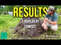 2 ingredient compost pile results  flips 38