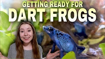 I’m Getting Poison Dart Frogs! DART FROG JOURNEY (Part 1)