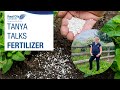 Tanya talks fertilizer  royal city nursery expert