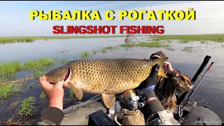 Рыбалка с рогаткой на сазана. SLINGSHOT FISHING