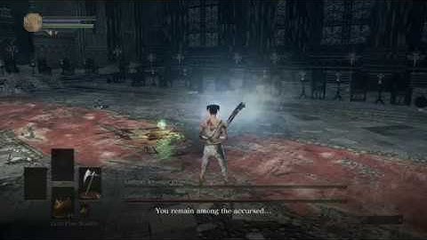 Lothric and Lorian, Twin Princes SL1 No Rolling/Blocking/Parrying