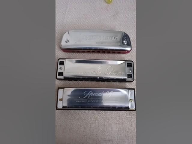 Is the Hohner Special 20 Harmonica right for you? (No BS Review) 