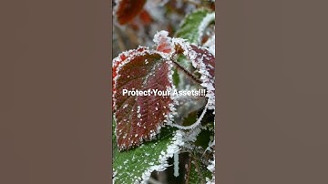 SafePal Safe Wallet Link: https://store.safepal.com/safepal-s1-hardware-wallet.html?ref=williehorne