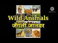 Names of wild animals in Hindi. Easy Hindi Learning.