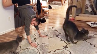 Cat Teaches Girl How To Twerk Properly