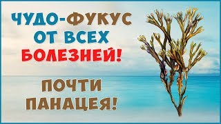 Фукус Гель и его Чудесные лечебные свойства почти от всех болезней! Фукус Гель и его Чудесные лечебные свойства почти от всех болезней!