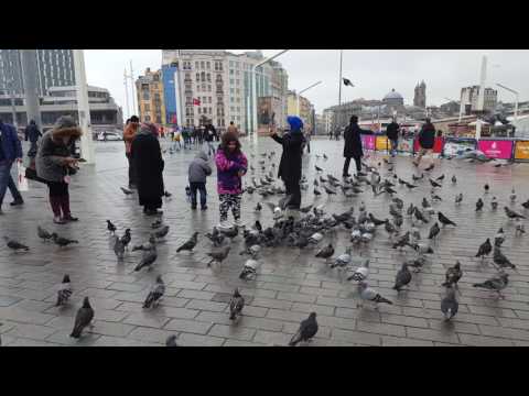 taksim de güvercinleri