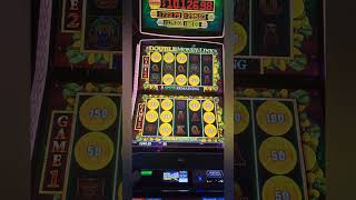 Double Money Link. CITY OF GODS