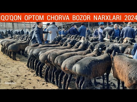 QOQON OPTOM CHORVA BOZOR NARXLARI 2024