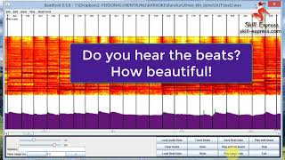 Finding Rhythm in music (Beats) with BEATROOT software | SKILL EXPRESS