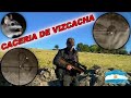 cacería de vizcacha con pcp p15