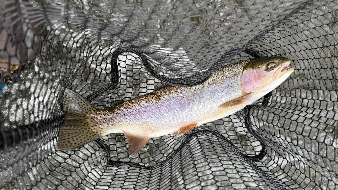 Nice Rainbow on a Cold Overcast Tulpehocken Creek