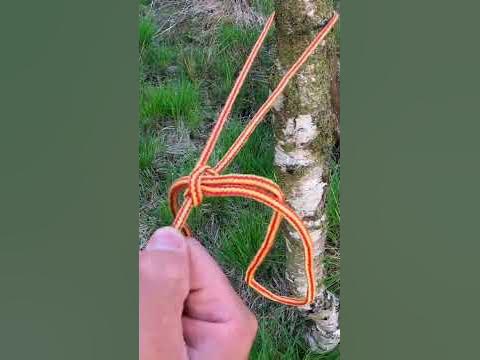 Taut Line Hitch | How to tie Knots for Wild Camping & Bushcraft | # ...