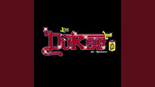 Video thumbnail of "Los Dukes De Apizaco - Engañadora"