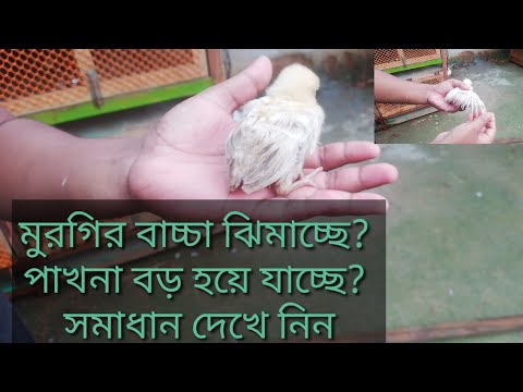 ভিডিও: আয়কর - এটা কি? কিভাবে ফিরবেন?