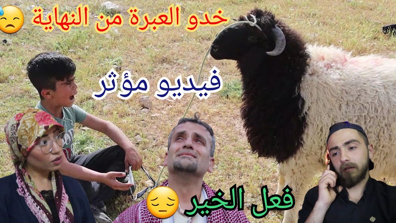 #امزك والخروف عملو اتفاقية 😅 فيديو مؤثر جدا تابعو للنهاية وخدو العبرة 👍