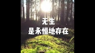 201505 无生是永恒地存在20061