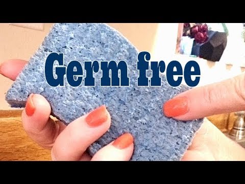 How to clean your kitchen sponge and make it germ free